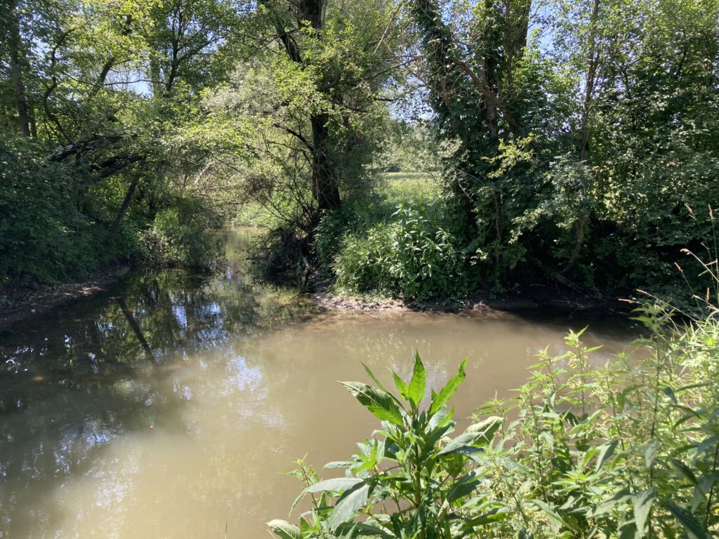 Confluence - La Neirigue se jette dans la Glâne