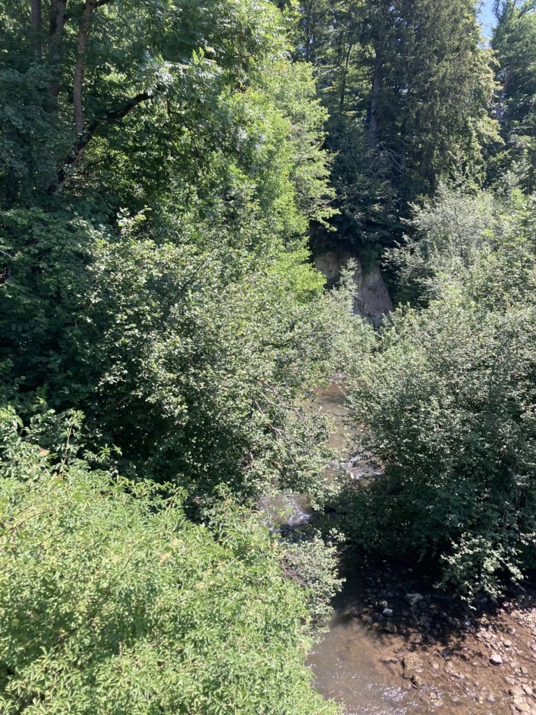 La Glâne entre Chénens et Chavannes-s-Orsonnens