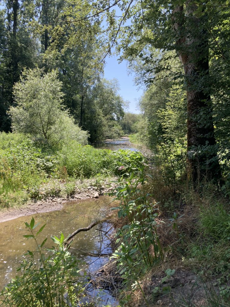 La Neirigue - Chavannes-s-Orsonnens 2