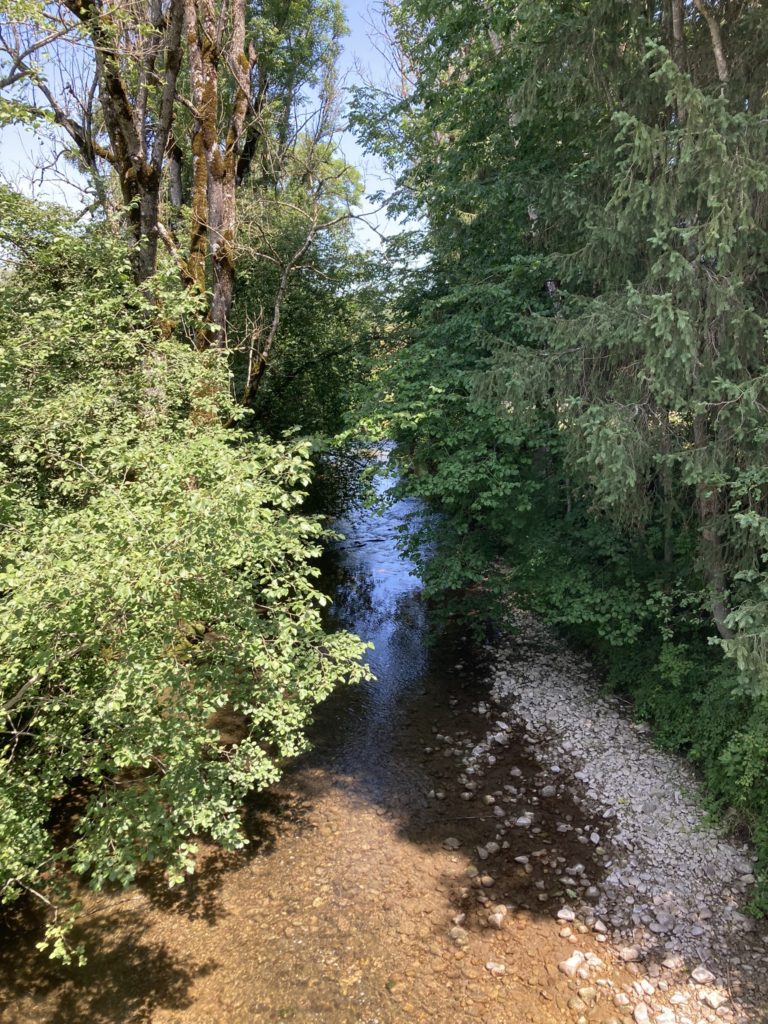 La Neirigue - Chavannes-s-Orsonnens 3