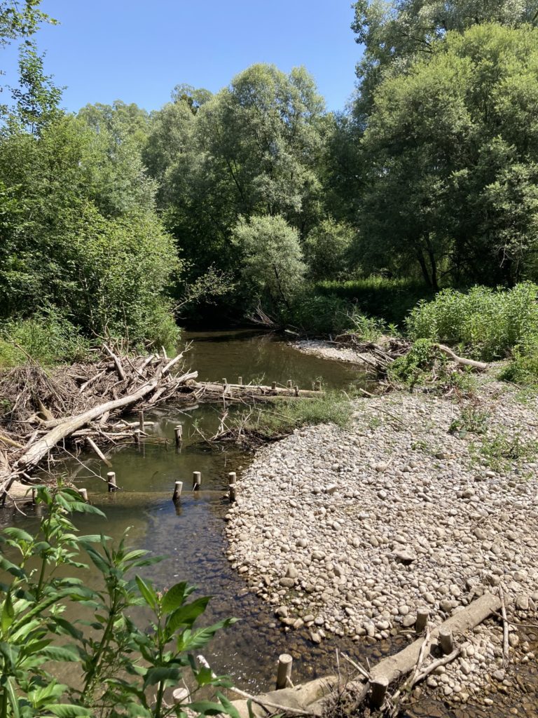 La Neirigue - Chavannes-s-Orsonnens